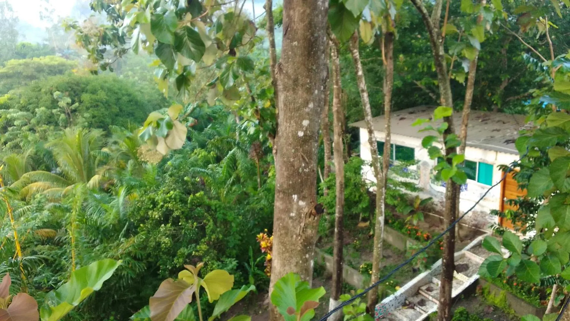 Las Tekas Santa Marta