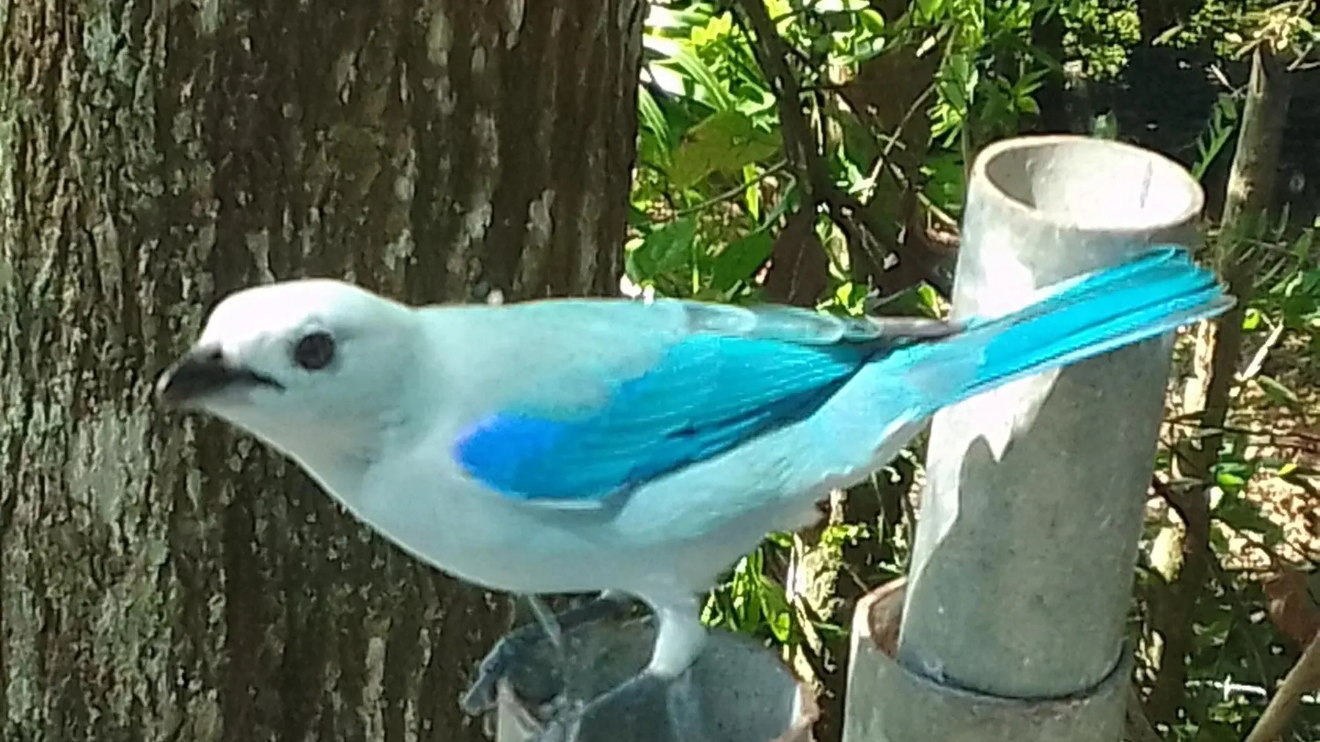 Jaktstuga Las Tekas Santa Marta  Colombia