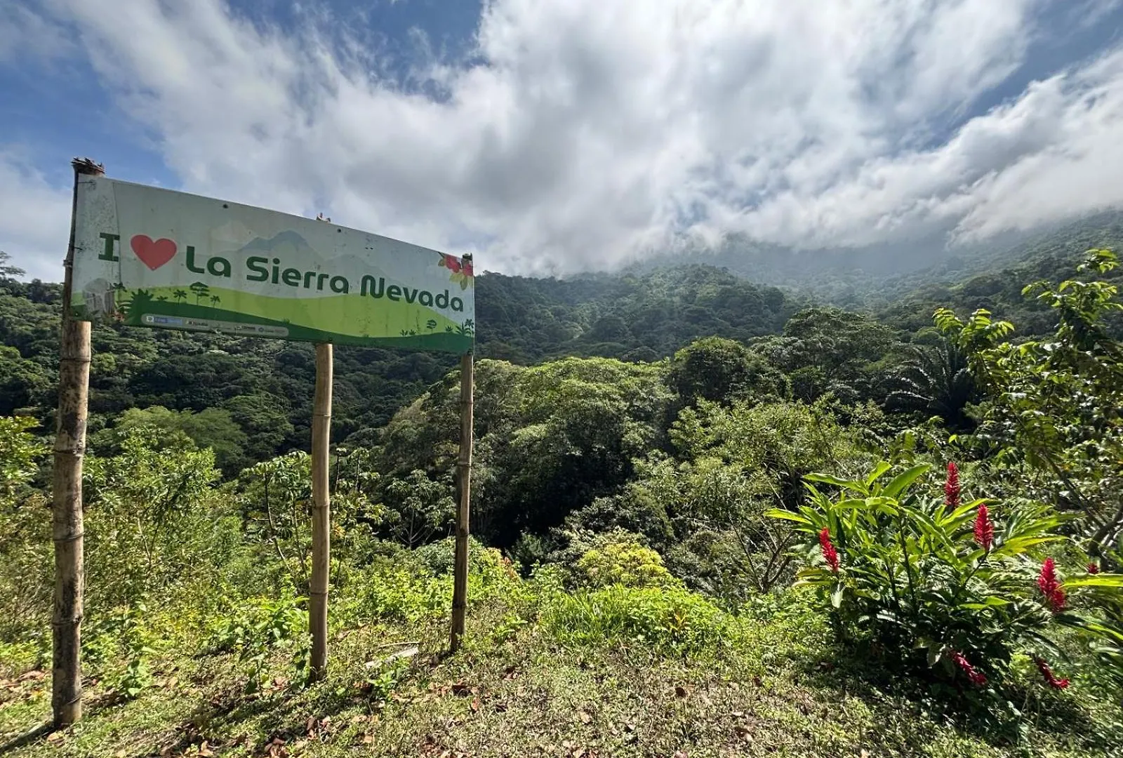 Las Tekas Santa Marta