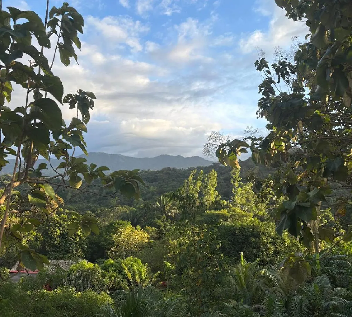 Lodge Las Tekas Santa Marta  Colombie